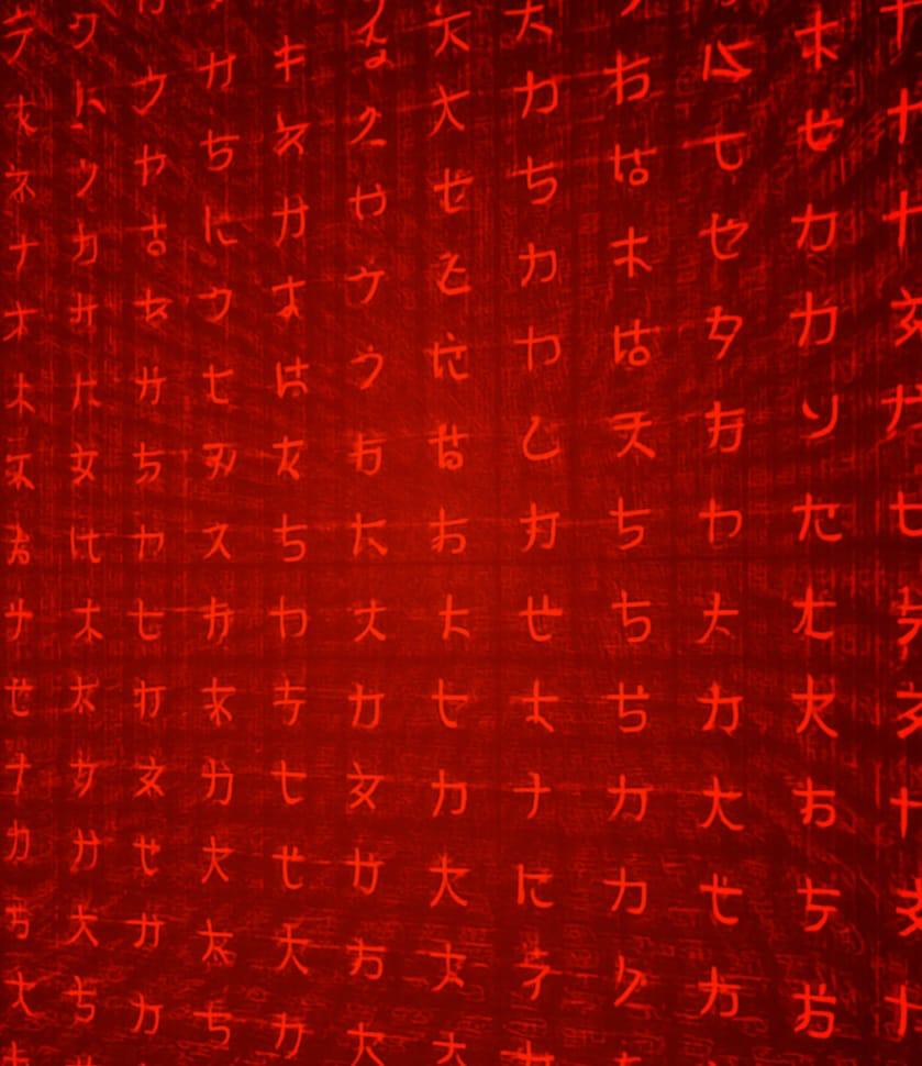 2025-12-03 08.47.30.jpg